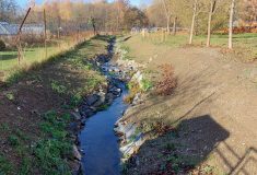Obnovu Kobylího potoka dokončily v intravilánu Bruntálu Lesy ČR