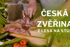 Proč si koupit právě zvěřinu a kde, se dozvíte v dokumentárním filmu Česká zvěřina z lesa na stůl