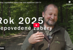 Lesy TV: Naše publikované i dosud neveřejné záběry z roku 2025
