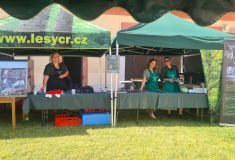 Zvěřinu z českých lesů a výrobky z ní nabídnou Lesy ČR na prodejním veletrhu v Berlíně