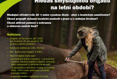 I letos v létě mohou studenti lesnictví, krajinářství a vodohospodářství do Lesů na brigádu