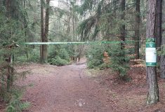 Rečkov v Českém ráji: Mladé stromky potřebují prostor, turisté jsou tam vítaní až od dubna