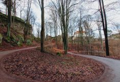 Lesy ČR dokončí obnovu lesů u hradu Valdštejn, práce potrvají do konce února