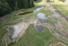 Mikulečský potok meandruje krajinou, která tak nevysychá