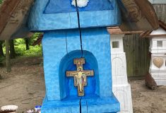 Cesta pokoje vede lesem