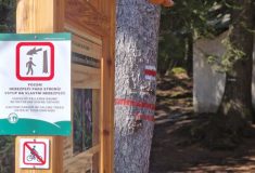 Upozornění pro pěší na krátkodobou uzavírku stezky u Černého jezera na Šumavě