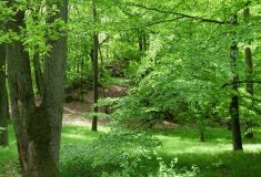 Lesy České republiky mají nový TOP management