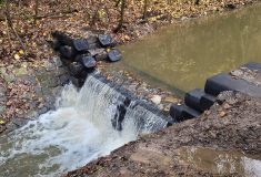 Protipovodňové přehrážky obnovily v Bohdašínském potoce na Náchodsku Lesy České republiky