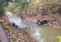 Protipovodňové přehrážky obnovily v Bohdašínském potoce na Náchodsku Lesy České republiky