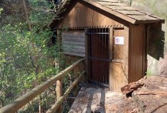 U Drábských světniček hnízdí sokol, stavební práce na obnově turistické infrastruktury zahájí Lesy ČR až v létě