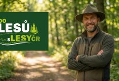 Do lesů s Lesy ČR: Květnová akce pro veřejnost na 67 místech v zemi