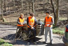 Od teorie k praxi: Gymnazisté uklízeli lesy u Opavy