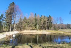 Když voda zůstává v krajině: Lesy ČR obnovily dvě nádrže v Železných horách