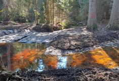 Lesy ČR dokončily dva vodohospodářské projekty v chráněné oblasti i běžném lese v Plzeňském kraji