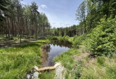 Lesy ČR dokončily další projekty: V jihočeské krajině nahradily odvodňovací příkopy přírodní meandry