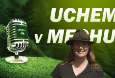 UCHEM V MECHU s Bětkou Hejdukovou a Adamem Bláhou o nabídce Z lesa na stůl