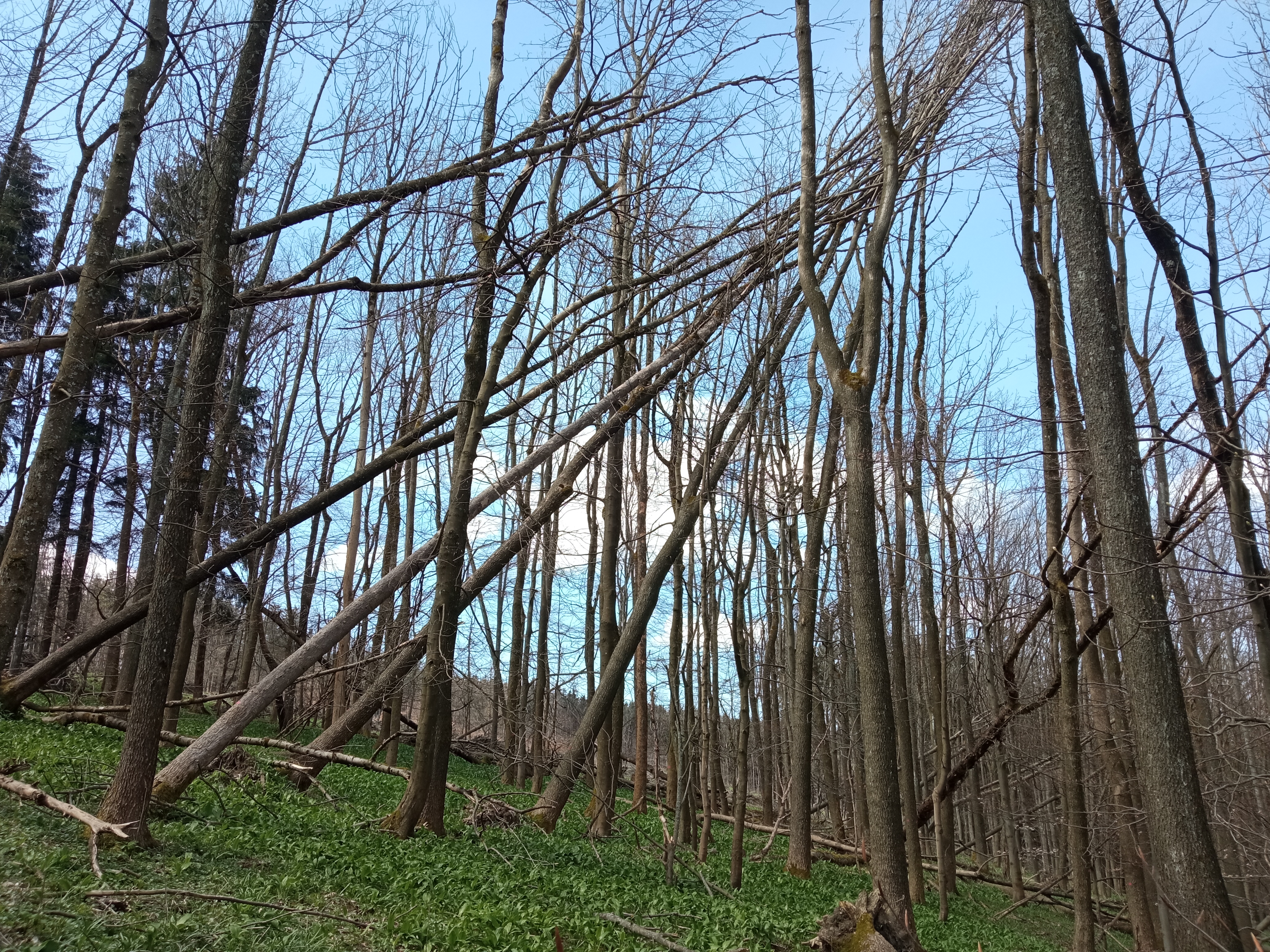 IMG_20230427_104042
