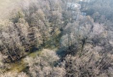 Voda se vrací do lesů na Těšínsku, Lesy ČR tam obnovily rybníky i meandry potoka