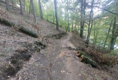 Lesní dělníci odstranili vyvrácené stromy z turistické trasy u Brněnské přehrady