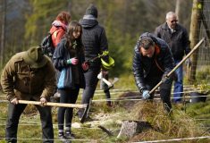 Přijďte si s námi užít poslední slunné dny na Dni lesů nové generace
