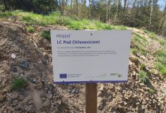 Lesy ČR obnovily lesní cestu Pod Chřenovicemi na Vysočině, zlepší hospodaření v lesích i přístup pro záchranáře