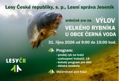 Výlov Velkého rybníka u Černé Vody nabídne program pro děti i prodej ryb