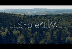 Podívejte se na video o dokončeném česko-slovenském projektu Lesy pre klímu